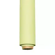 Spectrum Non-Reflective Full Paper Roll Backdrop (2.7 x 10M) - Smashed Avocad...