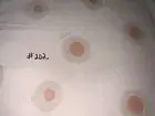 (#202) NEW PRATESI EURO SHAM~POIS POIS~ORG $390