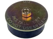 Cam Plug For 1965-1974 Ford Galaxie 500 1966 1967 1968 1969 1970 1971 WS184XR (for: Ford)