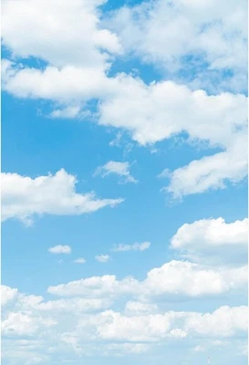 Blue Sky White Clouds Backdrop Sunny Day Sunshine Sky Cloud Theme Photography