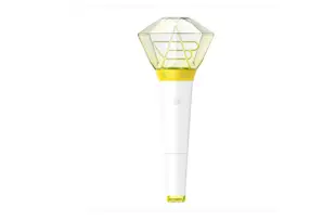 官方應援手燈 BOA OFFICIAL LIGHT STICK (韓國進口版)