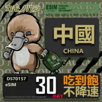 在飛比找momo購物網優惠-【鴨嘴獸 旅遊網卡】中國eSIM 30日吃到飽 高流量網卡 