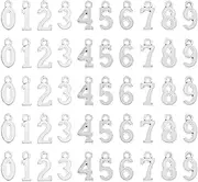 [FSSTUD] 100 Pcs Tiny Metal Number Charms Small Number Bracelet Charms Necklace Pendant Charms Jewelry Charms Numbers Earring Charms Beads Keychian Charm Pendants for DIY