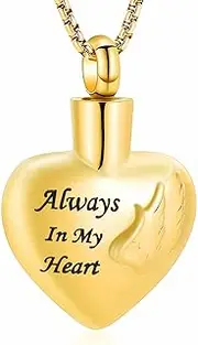 BIAIHQIE Heart Pendant Keepsake Cremation Jewelry Urns for Human/Pet Ashes Keepsake Stainless Steel Urn Necklace-Gold