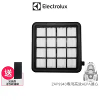 在飛比找蝦皮商城優惠-Electrolux 伊萊克斯 原廠HEPA濾網 適用ZAP