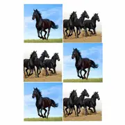 Country Kitchen Glass Coasters Set of 6 Black Horses Dining