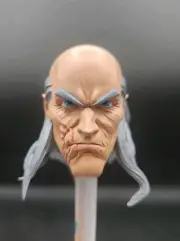 Hot Toys Custom Cecil Stedman Head 1/6 Scale Painted