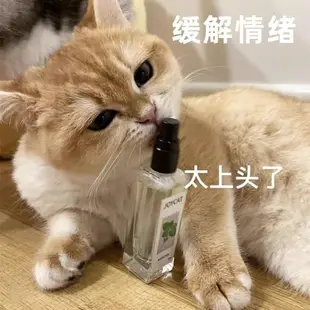 逗貓神器 JoyCat 蟲癭果噴劑 喵喵快樂水 貓薄荷 貓草興奮 貓抓板 喝水去毛球 貓咪健康 蟲嬰果 蟲癭果萃取液