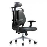 在飛比找蝦皮購物優惠-【免運】健康舒適護腰雙背椅老闆椅人體工學電腦椅個性時尚設計師