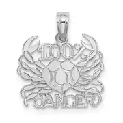 14K White Gold Wg 100% Cancer Zodiac Charm