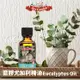 【Ausgarden 澳維花園】頂級藍膠尤加利精油50ml_廠商直送