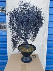John Derian for Target Halloween Black Willow Tree