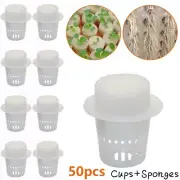 Reliable 50PCS Plant Net Cups and Cylinders Sponge Set for Hydroponic Planting
