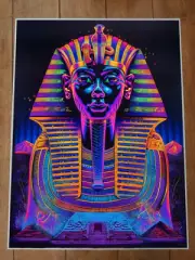 Egyptian Pharaoh Poster 18x24in