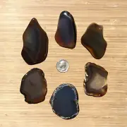 6 Polished Geode Rock Slices Gray Brown Agate Crystals Nice Banding Inclusions