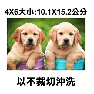 高級相紙4X6每張3元滿1000張每張2.2元 拍立得印相片洗相片相片沖洗洗照片2X3相片數位沖洗全家福沖片婚紗照