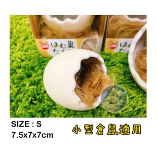 小恐龍阿圈與鼠妹妹的寄宿窩—倉鼠整理箱改造。日本MARUKAN 鼠鼠蛋蛋窩 陶瓷窩 倉鼠窩 睡窩