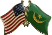 Wholesale Pack of 50 USA American Mauritania Friendship Flag Hat Cap lapel Pin