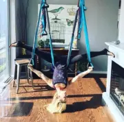 YOGATAIL Yoga Swing Aerial Hammock Trapeze Antigravity Yoga Sling/Inversion Blue