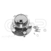 GSP Wheel Hub Assembly - 400174K