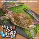 海肉管家-活凍特大隻藍花蟹5隻(400-450g/隻)