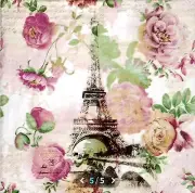 "New" 3 Paper Napkins for Decoupage/Scrapbooking/Craft-Paris