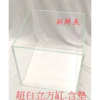 在飛比找蝦皮購物優惠-只能自取~新鮮魚水族館~實體店面  立方缸 超白缸 優白缸 