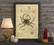 Spooky Barbary Spider Web Halloween Poster Halloween Decor Arachnids