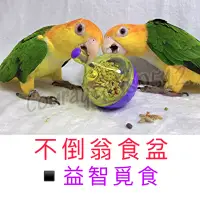 在飛比找蝦皮購物優惠-皮鹿鹿258 益智 玩具 不倒翁 食盆 飼料盆 飼料碗 飼料