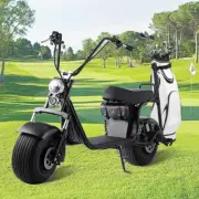 Golf Cart Scooter Electric 2000W 18" Off-Road Tyres 60KM/H 50KM with Golf Rack
