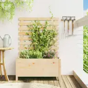 Garden Planter with Rack Solid Pine Wood 79x39cm Vertical Plant Shelf