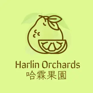 哈霖果園-麻豆文旦 特優級 文旦禮盒