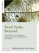 Brief Peeks Beyond ─ Critical Essays on Metaphysics, Neuroscience, Free Will, Skepticism and Culture