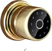 Smart Lock, TTLOCK Electronic Digital Keypad Zinc Knob Fingerprint Smart Cylinder Door Lock,for Bedroom Hotel Office Apartment(1) FANDIAO