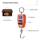 Stainless Steel Hook Scale Electronic Scale Crane Scale 200kg LCD Digital Scale