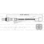 PAT Oxygen Sensor - EGO-378