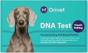 ORIVET Dog DNA Test Kit - French Bulldog Full Breed Profile | Puppy Testing Against 250 Medical Health Risks & Traits | Genetic Fingerprint & Wellness Plan | at Home Cheek Swab | Fast