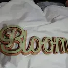 Bloom Word Wood Wall Hanging Shelf Sitter Spring Decor 15x6 in Green Orange