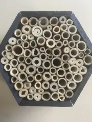 BEE KEEPING Honey Bee & Insect House Kit NEW Just Lots Fun!