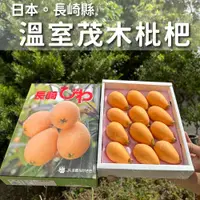 在飛比找松果購物優惠-水果狼-日本長崎縣溫室茂木枇杷禮盒 8-12玉 水果禮盒 (