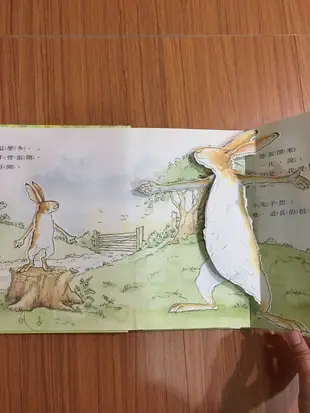 二手書 猜猜我有多愛你 立體遊戲書 立體翻翻書