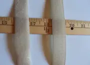 TAN HOOK & LOOP SEW-ON TAPES 1 " WIDE BY THE YARD