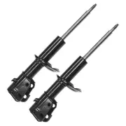 Front Strut Assembly For Buick Skylark & Chevrolet Celebrity Lumina Pair (for: Chevrolet)