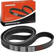 Engine Serpentine Drive Belt Compatible with Volkswagen Passat 2004-2005 & Ford Thunderbird 1980-1981 & Mercury Cougar 1980-1981, 2.0L 4.2L 5.0L