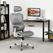 Advwin Ergonomic Mesh Office Chair Executive Chair High Back Seat Racing Work Grey & White