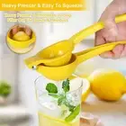 Sturdy Manual Citrus Juicer, Lemon & Lime Squeezer Press Kitchen Essential