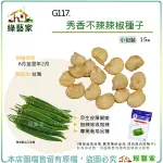 【綠藝家】G117.秀香不辣辣椒種子15顆 早生，皮薄質嫩，無辣味或微辣 專業栽培品種