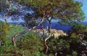 Claude Monet - Bordighera Poster 17" x 11"