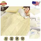 Lightweight 7lbs Weighted Blanket in Beige - Perfect for Napping & Reading
