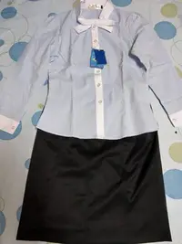 在飛比找Yahoo!奇摩拍賣優惠-【全新品】森奈健SNJ【S-45ED】 藍色條紋高級女襯衫 